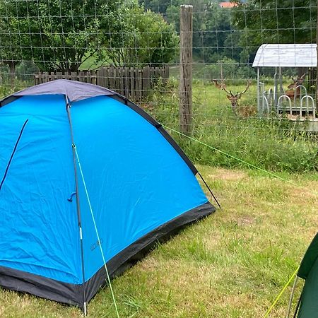 Camping f Selbstversorger Gut Jägerhof Semriach Exterior foto
